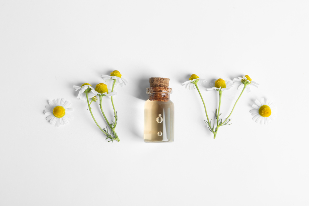 カモミールの香りとは 匂いや特徴 6つの効果効能 おすすめ香水を紹介 Palxia Log