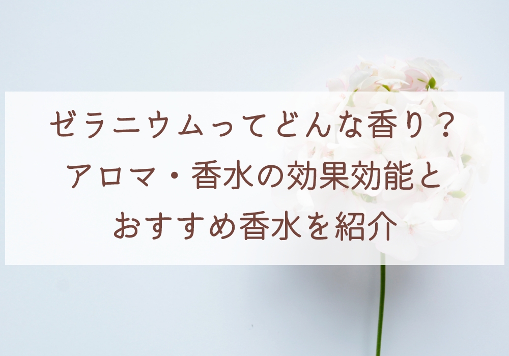 ゼラニウムってどんな香り アロマ 香水の効果効能とおすすめ香水を紹介 Palxia Log